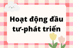 làm thuê khoá luận hoạt động đầu tư phát triển